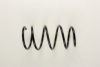 BMW 1090760 Coil Spring